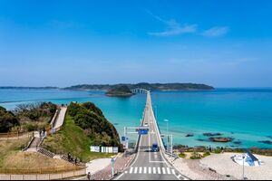 トーフスキーの旅日記・飲んで飛んで食ってまた呑む